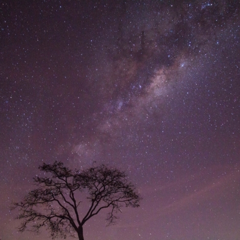 brilho de mil estrelas no olhar